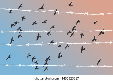 birds flying over broken barbed wire