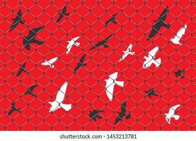 birds flying over broken barbed wire