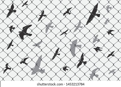 birds flying over broken barbed wire