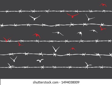 birds flying over broken barbed wire