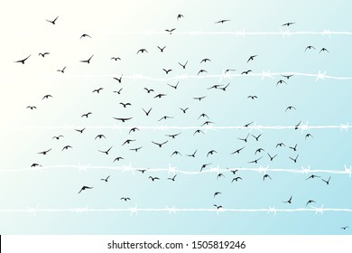 birds flying over broken barbed wire