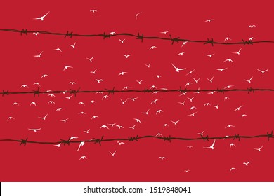 birds flying over broken barbed wire