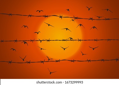 birds flying over broken barbed wire