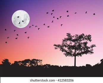 Birds flying over the white full moon and tree silhouette in twilight sunset. Wildlife dark shadows in the purple night sky, forest plant view and mountain meadows.