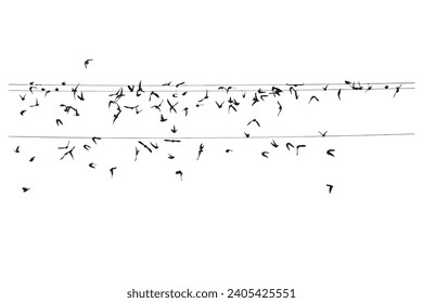 Birds flying over the wire. Vector images. 