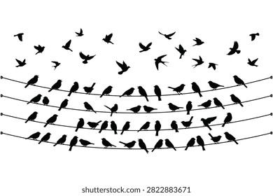 Birds flying and perched on multiple curved wires in silhouette style