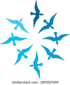birds flying in a round dance