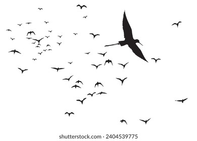 Birds flying scattered in the sky. Vector images. White background. 