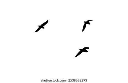 Birds Are Flying Silhouette Design. 