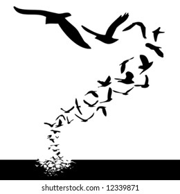 lot of birds flying; silhouette style illustration