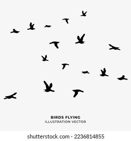 birds flying silhouette vector illustration