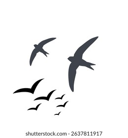 Birds flying in the sky capture the essence of freedom, grace, and the natural beauty of flight.white background. 
