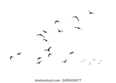 Birds flying in the sky with a natural distribution. Natural vector birds.