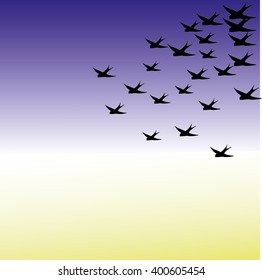 Birds flying. Sky. Vector illustration.