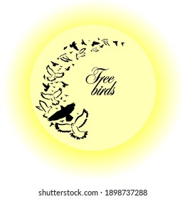 Aves volando al sol. Ilustración del vector