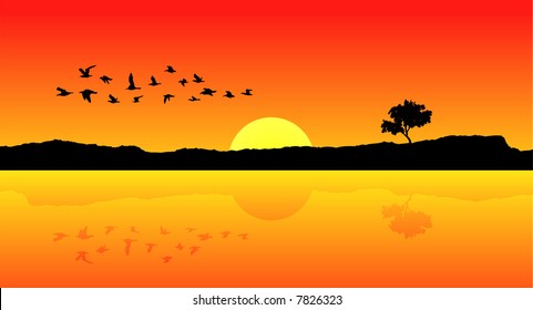 birds flying in a sunset vector composition
