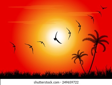 Birds flying in the sunset-vector illustration