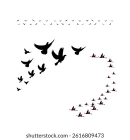  Birds flying symbolize freedom 3 different peace, and the beauty of nature in motion.