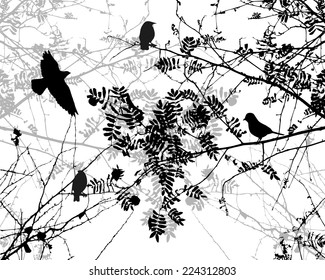 Birds flying and tree branches. Vector 