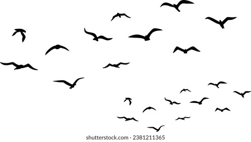 Birds Flying Vector illustration. bird group flying