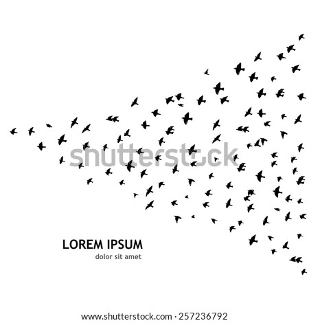 Birds flying wedge. many flying bird silhouettes. Vector