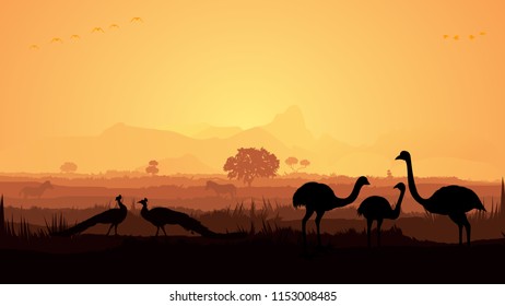 Birds in forest silhouettes