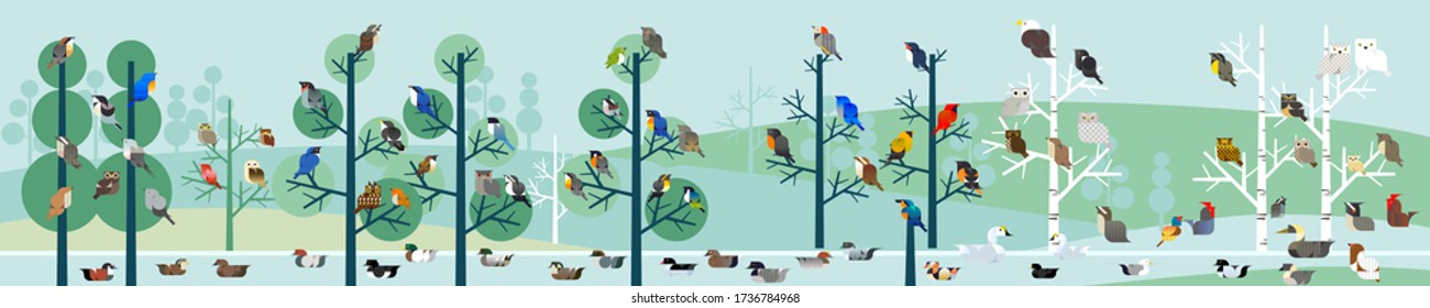 birds forest vector illustration, horizontal landscape