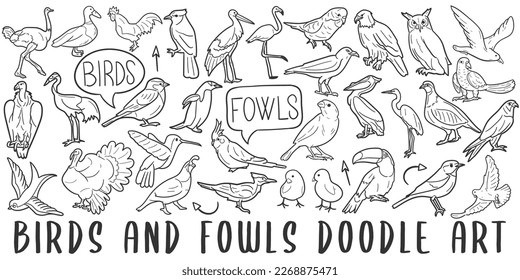 Birds and Fowls Doodle Icons. Hand Made Line Art. Fly Animals Clipart Logotype Symbol Design.