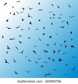 Birds, gulls, black silhouette on blue background. Vector