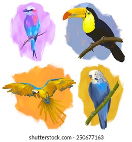 Birds hand drawn vector illustrations set