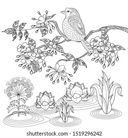 Birds hand drawn in vintage style with flowers. Spring birds and blossom branches of cherry. Linear engraved art. Bird concept. Romantic concept. Vector design