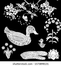 Birds hand drawn in vintage style with flowers. Duckd and blossom branches of cherry. Linear engraved art. Bird concept. Romantic concept. Vector design
