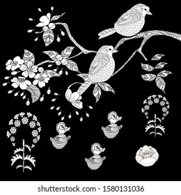 Birds hand drawn in vintage style with flowers. Duckd and blossom branches of cherry. Linear engraved art. Bird concept. Romantic concept. Vector design