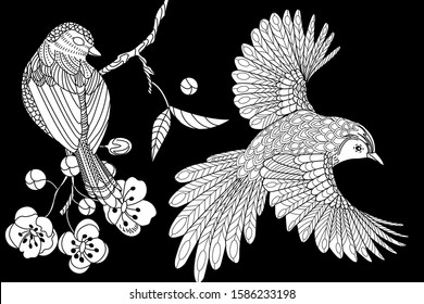 Birds hand drawn in vintage style with flowers. Duckd and blossom branches of cherry. Linear engraved art. Bird concept. Romantic concept. Vector design