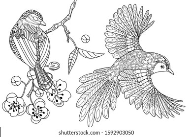 Birds hand drawn in vintage style with flowers. Duckd and blossom branches of cherry. Linear engraved art. Bird concept. Romantic concept. Vector design