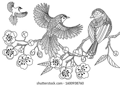 Birds hand drawn in vintage style with flowers. Duckd and blossom branches of cherry. Linear engraved art. Bird concept. Romantic concept. Vector design