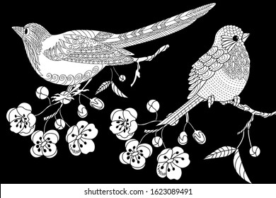 Birds hand drawn in vintage style with flowers. Spring birds and blossom branches of cherry. Linear engraved art. Bird concept. Romantic concept. Vector design