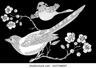 Birds hand drawn in vintage style with flowers. Spring birds and blossom branches of cherry. Linear engraved art. Bird concept. Romantic concept. Vector design