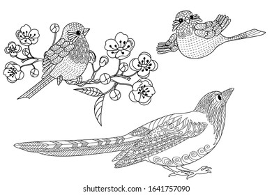 Birds hand drawn in vintage style with flowers. Duck and blossom branches of cherry. Linear engraved art. Bird concept. Romantic concept. Vector design