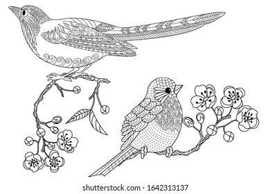 Birds hand drawn in vintage style with flowers. Duckd and blossom branches of cherry. Linear engraved art. Bird concept. Romantic concept. Vector design