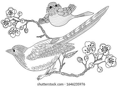 Birds hand drawn in vintage style with flowers. Duckd and blossom branches of cherry. Linear engraved art. Bird concept. Romantic concept. Vector design