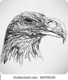 The bird's head eagle, hand drawing, vector illustration.