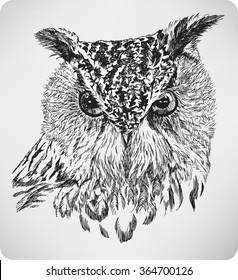 The bird's head Eagle Owl, hand drawing, vector illustration.