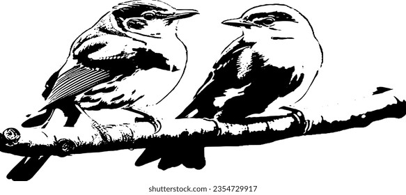 Aves de alta calidad imagen vectorial para mejor uso.