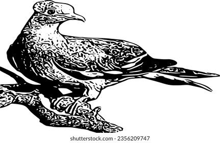 Bird's high quality vector format image.