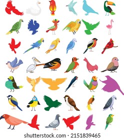 Birds huge vectors colorful graphics editable collection