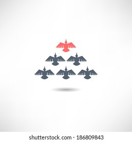 Birds icon