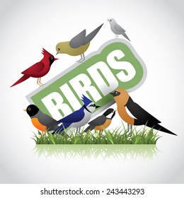 Birds icon EPS 10 vector stock illustration
