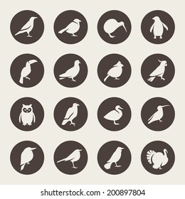 Birds icon set