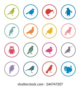 Birds icon set